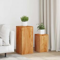 Supports pour plantes 2 pcs bois d'acacia massif alsavelo