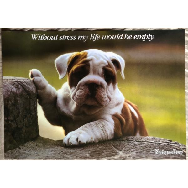Affiche, poster, Without stress my life  43 x 61 cm