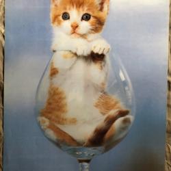 Affiche, poster, magnifique chat dans un grand verre   43 x 61 cm