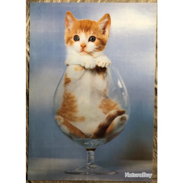 Affiche, poster, magnifique chat dans un grand verre   43 x 61 cm