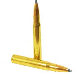 Munitions SOLOGNE calibre 8x64S Nosler BT 180gr - 11.7g x20