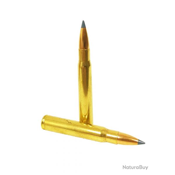 20 Munitions SOLOGNE Cal.8x64S Nosler BT 180gr