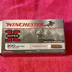 Balle winchester Power point 300 win