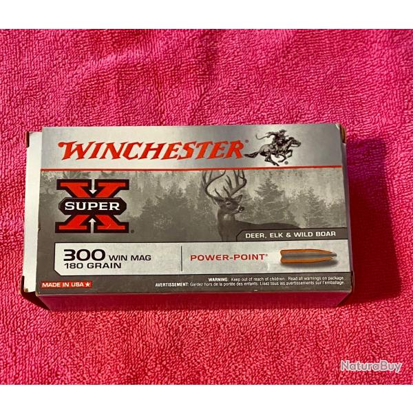 Balle winchester Power point 300 win