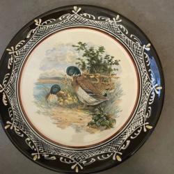 Assiette - platSignée Geissert botaniste et naturaliste alsacien  taille 32 cm