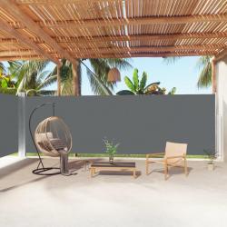 Auvent latéral rétractable Anthracite 200x1000 cm alsavelo