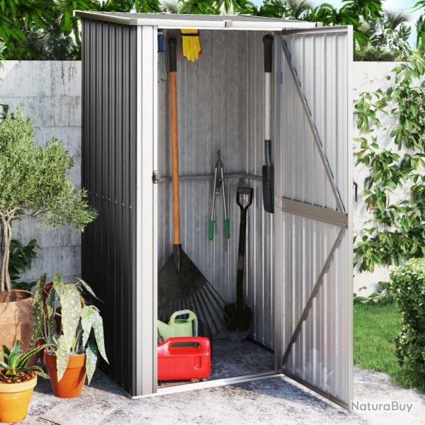 Abri de jardin Anthracite 118,5x97x209,5 cm Acier galvanis alsavelo