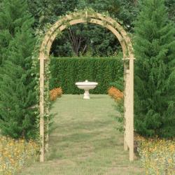 Arche avec treillis 141x97x243 cm Bois de pin massif imprégné alsavelo
