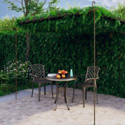 Pergola de jardin Marron antique 4x3x2,5 m Fer alsavelo