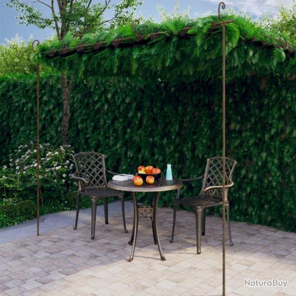 Pergola de jardin Marron antique 4x3x2,5 m Fer alsavelo