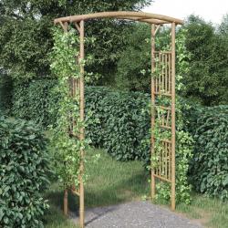 Arche pour rosiers Bambou 118x40x187 cm alsavelo