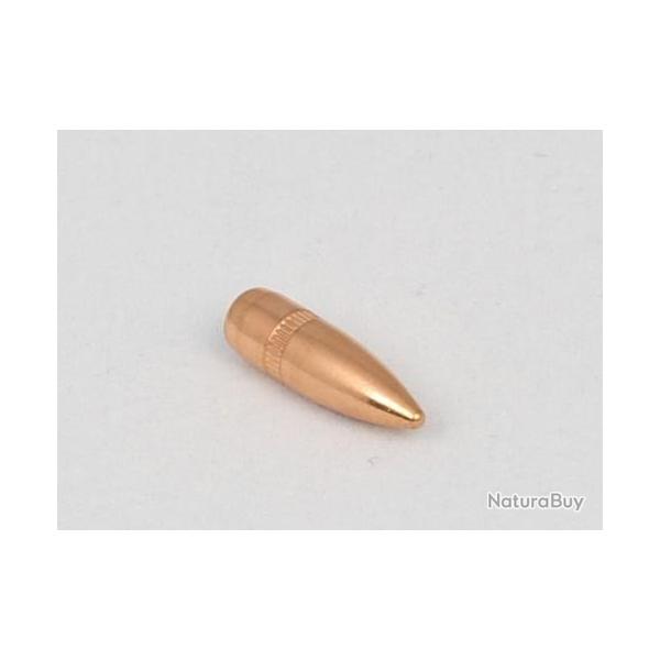 Ogives CAM PRO 223 BT FMJ 55 grains diamtre 224 par 500
