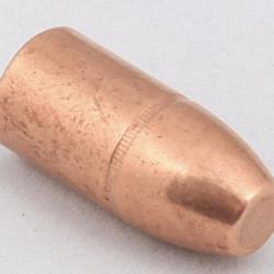 Ogives CAM PRO 45-70 450 grains diamètre 458