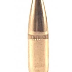 CAM PRO 223 BT FMJ 62 grains diamètre 224 par 500