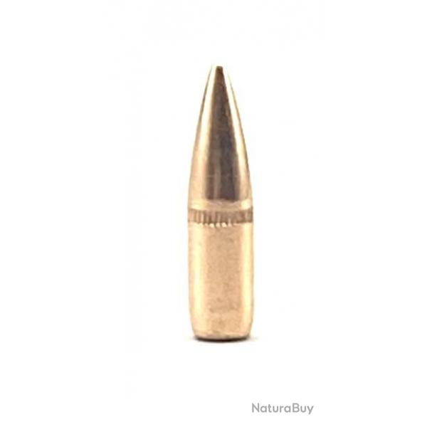 CAM PRO 223 BT FMJ 62 grains diamtre 224 par 500
