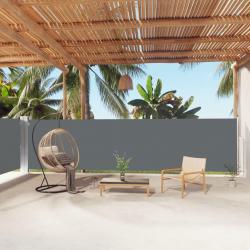 Auvent latéral rétractable Anthracite 160x1000 cm alsavelo