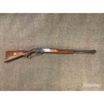 Carabine Winchester 250 calibre 22 Long Rifle - Carabines 22LR (13161307)