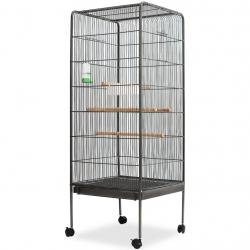 Cage à oiseaux Noir 54 x 54 x 146 cm Acier alsavelo
