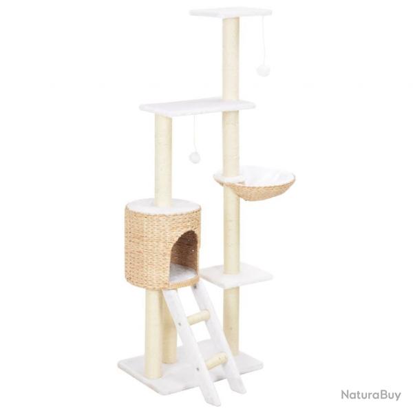 Arbre  chat avec griffoirs en sisal Herbiers marins alsavelo