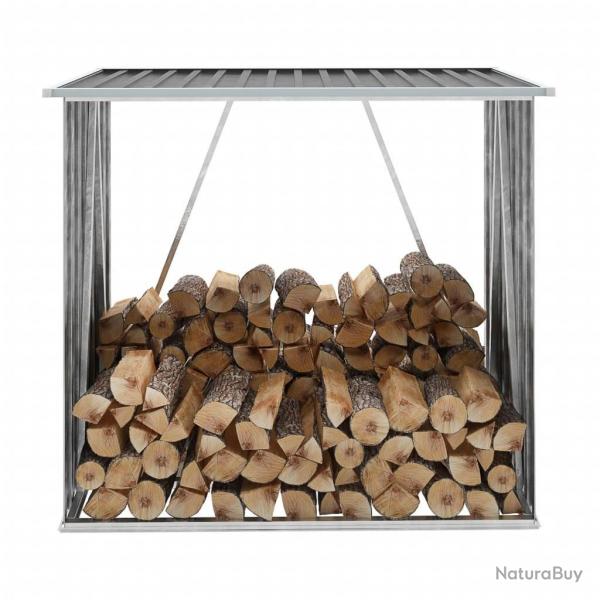 Abri de stockage  bois Acier galvanis 163x83x154cm Anthracite alsavelo