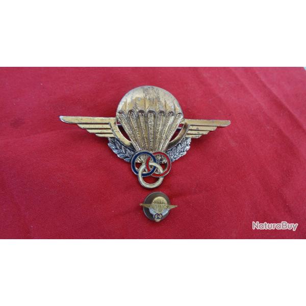 brevet moniteur para