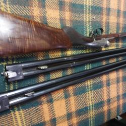 Fusil darne v19