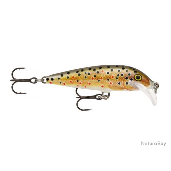 Leurre Rapala Scatter Rap Countdown 5cm TR