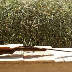 Carabine Warnant 12mm