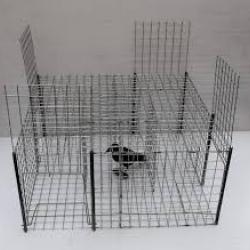 CAGE A CORBEAUX