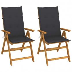 Chaises inclinables de jardin lot de 2 et coussins Bois acacia alsavelo