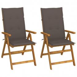 Chaises inclinables de jardin lot de 2 et coussins Bois acacia alsavelo