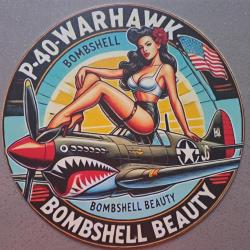 plaque decoration en alu panneau vintage avion chasseur CURTISS P40 WARHAWK  MK WW2 AIRPLANE USAAF