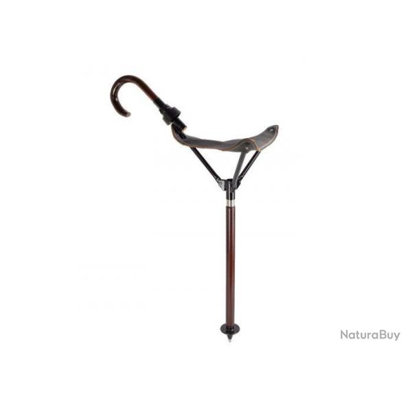 Canne-sige poigne canne