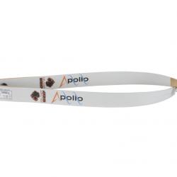 Branches Black Sheep Apollo 48" 10#