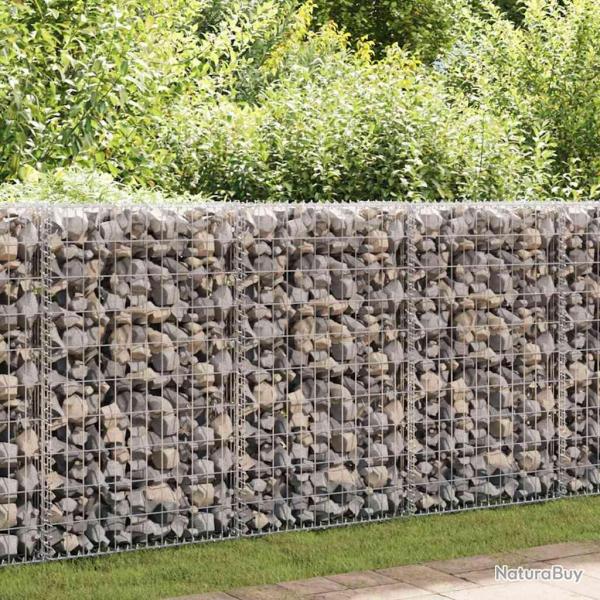 Mur  gabion avec couvercles Acier galvanis 100x20x100 cm alsavelo
