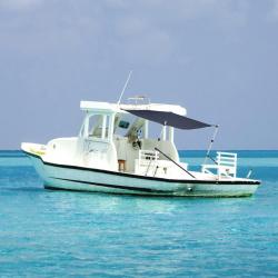 Kit d'extension d'ombrage T-Top bleu marine 174x205x(115-194)cm alsavelo