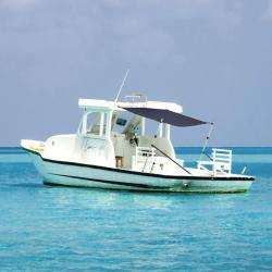 Extension d'ombrage T-Top bleu marine 170x208x(115-183) cm alsavelo