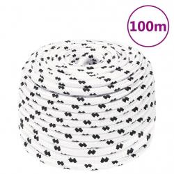 Corde de travail Blanc 10 mm 100 m Polyester alsavelo