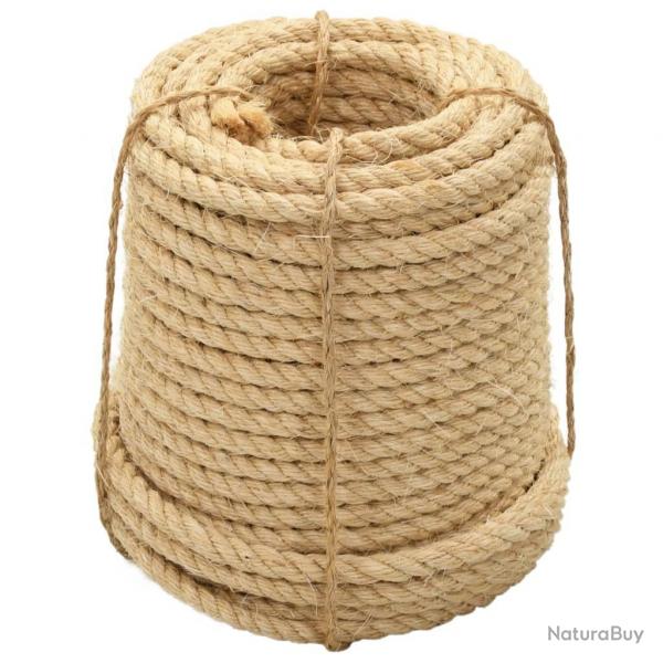 Corde 100 % en sisal 20 mm 100 m alsavelo