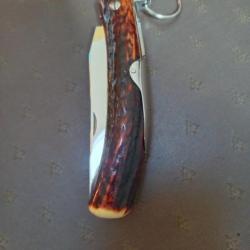 Couteau modèle chasseur manche magnifique bois de cerf sambar