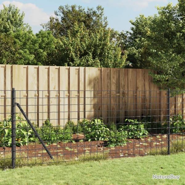 Clture en treillis mtallique anthracite 1,1x10 m alsavelo