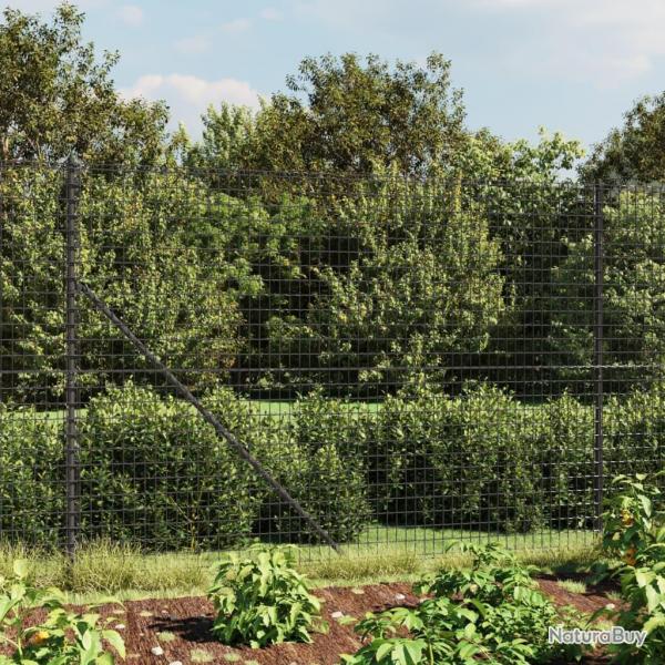 Clture en treillis mtallique et ancrage anthracite 2,2x10 m alsavelo