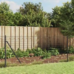 Clôture en treillis métallique anthracite 1,1x25 m alsavelo