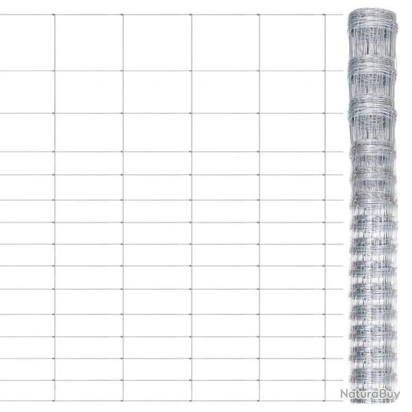 Clture de jardin Acier galvanis Argent 50x1,6 m alsavelo