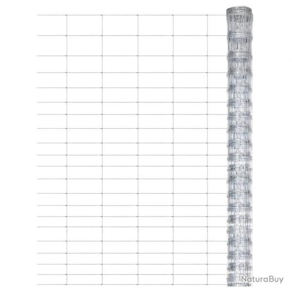 Clture de jardin Acier galvanis 50x1,25 m Argent alsavelo