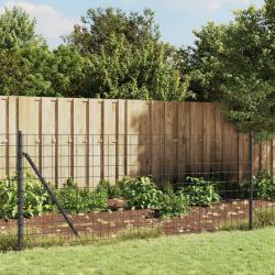 Clôture en treillis métallique et ancrage anthracite 1x25 m alsavelo