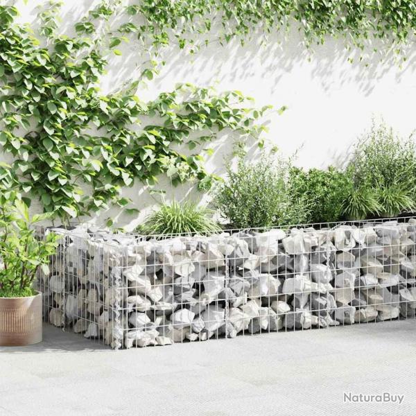 Mur de gabion Acier galvanis 630x30x50 cm alsavelo