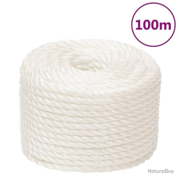Corde de travail Blanc 10 mm 100 m polypropylne alsavelo