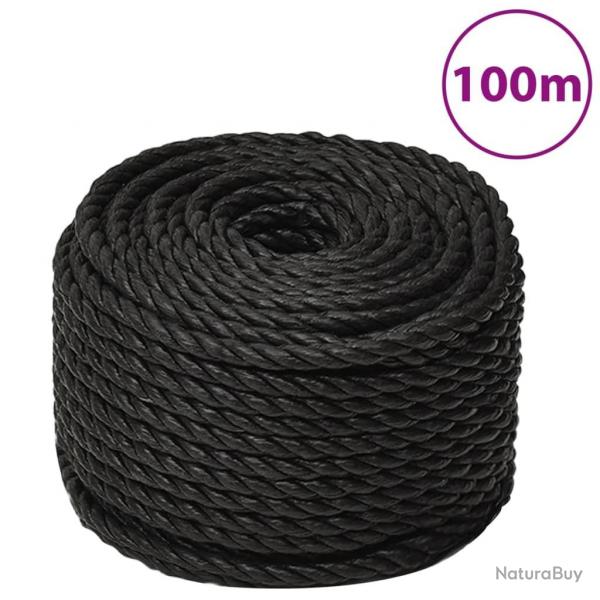 Corde de travail Noir 10 mm 100 m polypropylne alsavelo