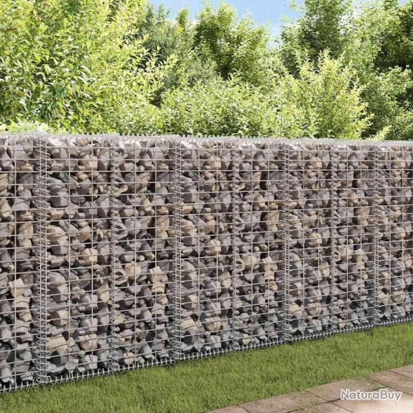 Mur  gabion avec couvercles Acier galvanis 20x20x100 cm alsavelo
